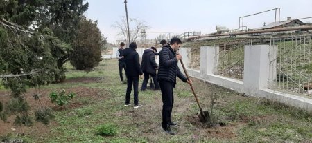 Pirallahı rayon MKTB-nin rəisi Röyal Sarıməmmədov işinin öhtəsindən layiqincə və vicdanla gəlir